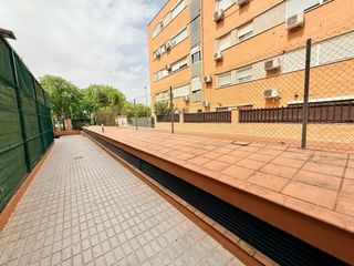 Flat  Calle don juan macho