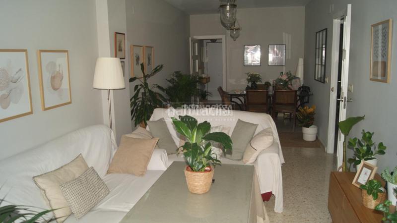 Foto dabcde3b-9c99-47bd-b325-d5fcb4b2af04. Piso  en venta en Parque Alcosa Sevilla