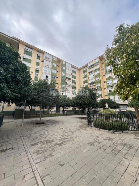 Foto d8c2b277-1d9b-4996-9387-58ed9b623169. Appartement dans Parque Alcosa Sevilla