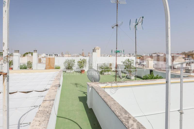 Foto d82323a4-c913-4b4c-bd86-fc519f5b79bf. Etagenwohnung mit heizung pool in Alfalfa - Santa Cruz Sevilla