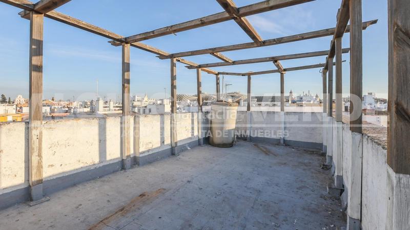 Foto 6cdf9054-1431-4767-9083-0fe04704df1d. Xalet a Encarnación - Regina Sevilla