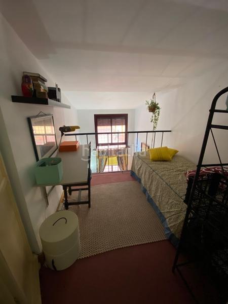 Foto 816ffd64-fdec-4f03-914d-bff8c284415c. Rent studio in San Carlos - San José Sevilla