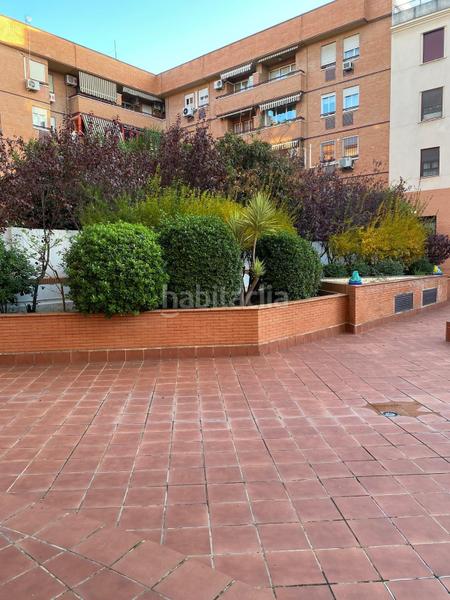 Foto 1fdadca3-8089-4583-9c55-e8b9eb591f5b. Estudi a San Carlos - San José Sevilla