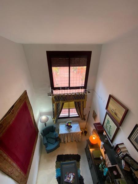 Foto ed3f4cc2-4d1a-495e-a4a2-4c4e795d9098. Estudi a San Carlos - San José Sevilla