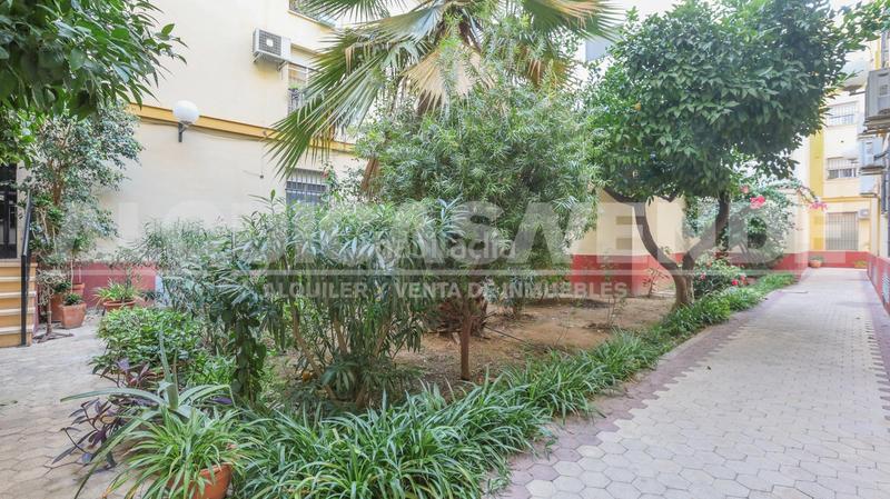 Foto c66aafe5-ebcf-4ea4-98a3-1e29d6fbc36a. Appartement avec parking dans San Lorenzo Sevilla