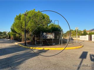 Terreny residencial  Pino. 3 parcelas en dehesa golf fantastica ubicacion