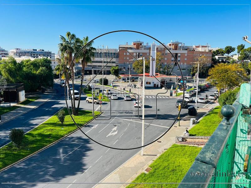 Foto 4d674d64-c48a-42a4-b701-b834bc669552. Pis a alcalde federico molina orta a Las Torres - Guadalupe Huelva