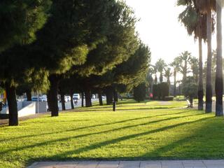 Location Local commercial à Avenida de andalucía 66. Local comercial con excelente ubicación