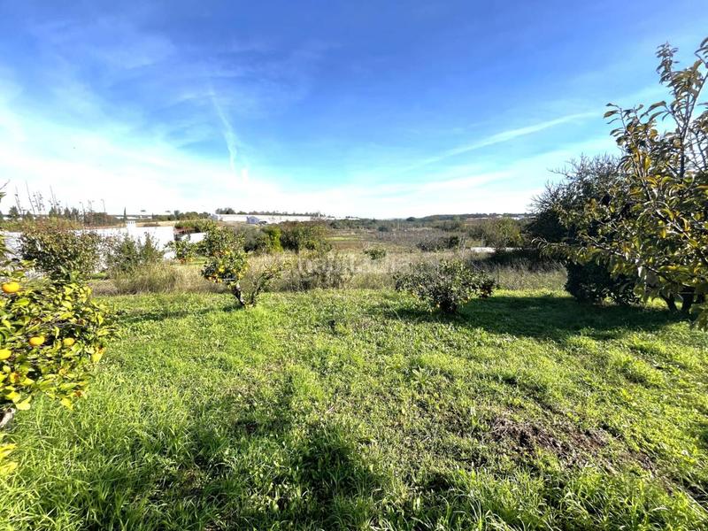 Foto 0275c813-e397-4363-bd0c-3c88b24e1426. Casa a el rincon s/n a Cartaya