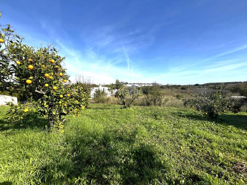 Foto 6a5a74d1-93f4-4a88-80e3-2dc9ba9a6292. Casa a el rincon s/n a Cartaya