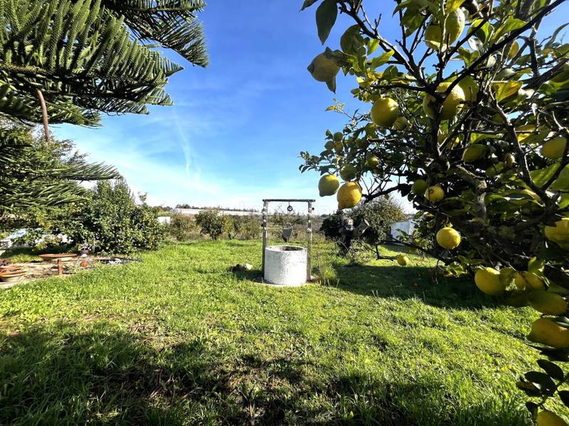 Foto a16360b4-4faf-464e-9c03-b2c50068071e. Casa a el rincon s/n a Cartaya