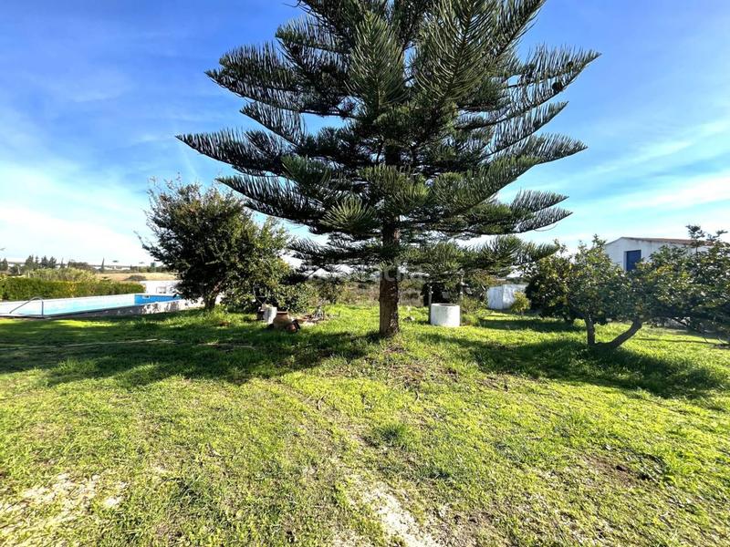 Foto cc4855f6-73b5-4319-8ba7-70ed4a4f0225. Casa a el rincon s/n a Cartaya