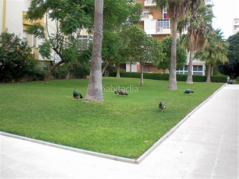 Foto ef8dae25-5cf0-4133-9931-17a2cdc8e7d0. Apartament amb aparcament piscina a Parque de la Paloma Benalmádena