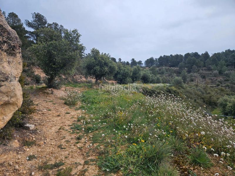 Foto 130a463c-bac3-4ba0-b1ab-1b253d9d41ae. Finca rústica en Cervià de les Garrigues