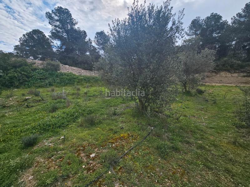 Foto 42dd2651-7179-4f9f-94d9-68318d511965. Finca rústica en Cervià de les Garrigues
