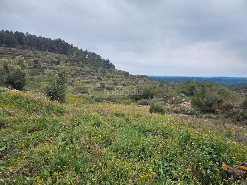 Foto 6d8c0f11-ebd2-459e-b2ac-bec630ce1df3. Finca rústica en Cervià de les Garrigues