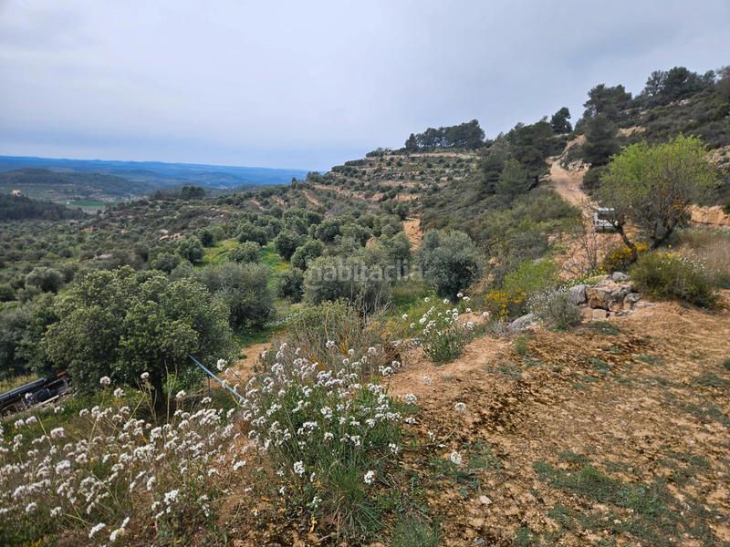 Foto 993035f0-e1c5-4204-a509-93218a5a256d. Finca rústica en Cervià de les Garrigues