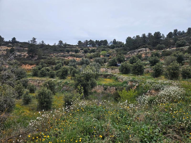 Foto c3fac761-2c54-4eec-9e0f-9bf7dca9e3c4. Finca rústica en Cervià de les Garrigues