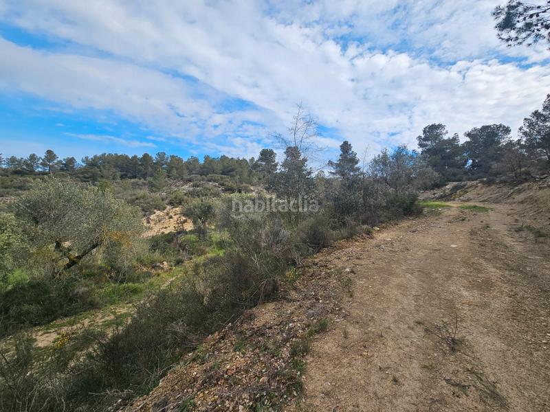 Foto d02577ff-9df3-475e-9fbe-c52dfba131c2. Finca rústica en Cervià de les Garrigues