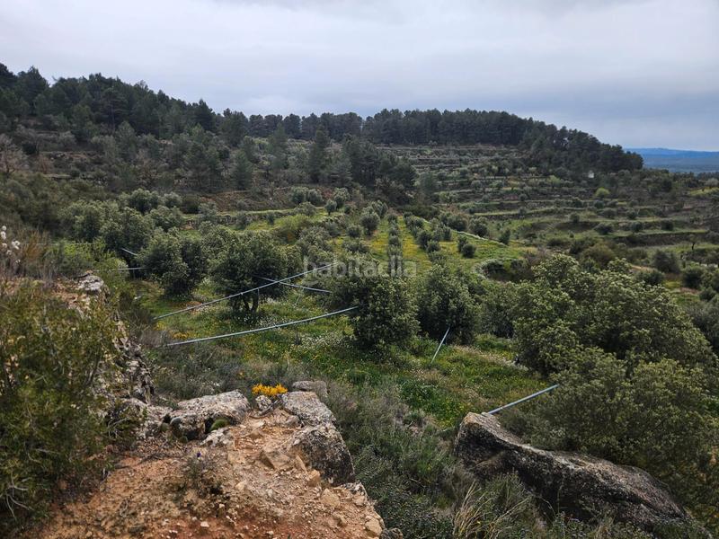 Foto d59fa0db-a8b3-4300-93a9-32115c858927. Finca rústica en Cervià de les Garrigues