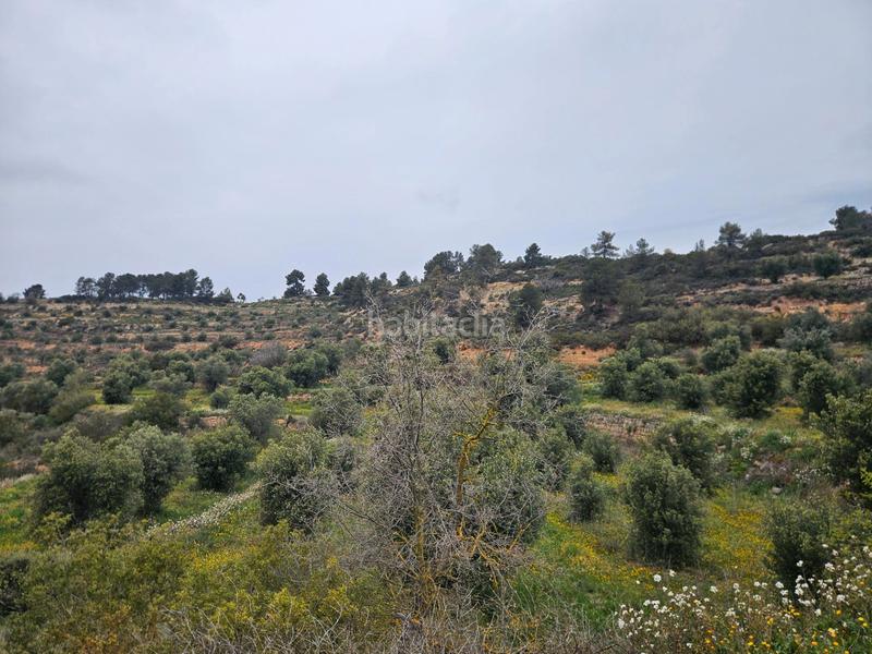 Foto e718c849-7a77-4428-883c-5044a955acbc. Finca rústica en Cervià de les Garrigues