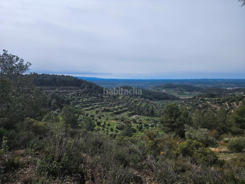 Foto e92a0455-4f0c-4c13-b94f-d277b237bccd. Finca rústica en Cervià de les Garrigues