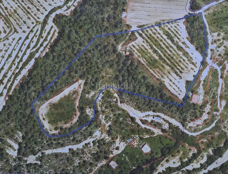 Foto 6558f119-b9db-41ac-942a-4294781554b6. Finca rústica en Pobla de Cérvoles (La)