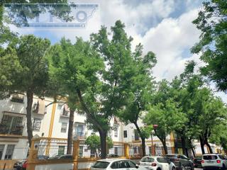 Appartamento en Cruz Roja. Avenida de miraflores. piso con aparcamiento y trastero