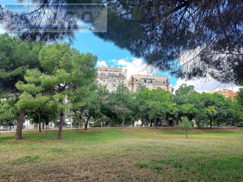 Foto 2d18e941-b5f2-4cbc-bfb5-789678afd86c. Pis a Parque Atlántico- San Matías Sevilla