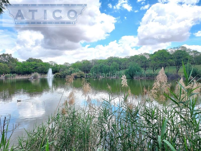 Foto dd42456a-863a-4656-ae28-78a28eab02f8. Pis a Parque Atlántico- San Matías Sevilla
