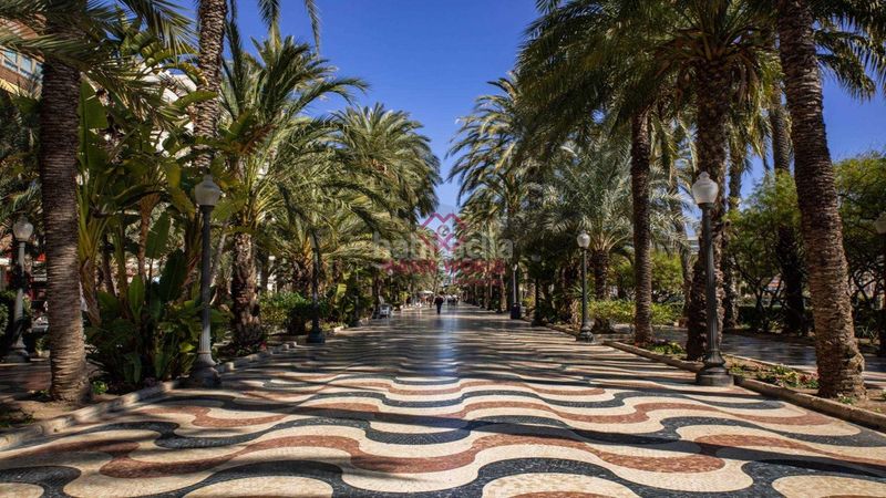 Foto d72d05cd-5327-42a6-a035-ab0e07227679. Planta baja apartamentos de obra nueva ciudad en Alicante