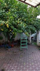 Maison à Algaba (La). Son 2 casas juntas con entradas independientes, de dos plantas p