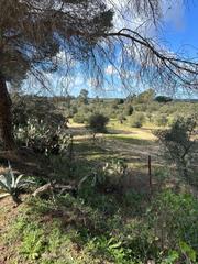 Terreny residencial a Villamanrique de la Condesa. Enclavada en un entorno privilegiado junto al parque nacional de
