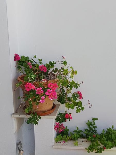 Foto 01f59285-78f7-4909-8167-dac185ffeddb. Chalet avec chauffage piscine dans Espartinas pueblo Espartinas