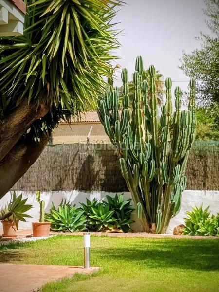 Foto 40e16500-f6d1-4e32-81a3-76d3c43465e2. Chalet avec chauffage piscine dans Espartinas pueblo Espartinas