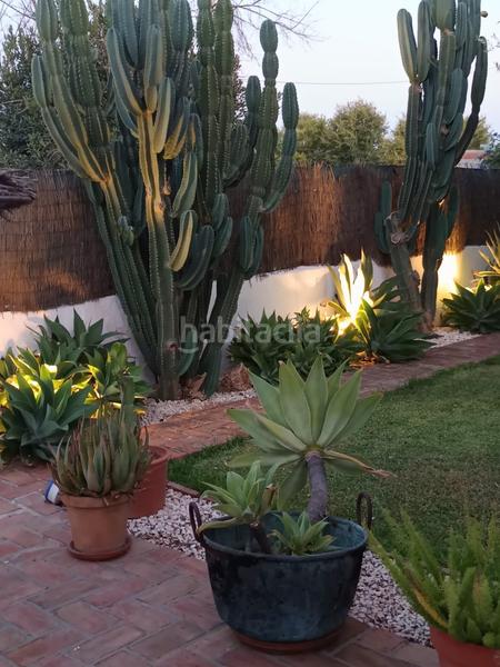 Foto 7221a18c-227b-4fc9-8a78-8db962f0adf5. Chalet avec chauffage piscine dans Espartinas pueblo Espartinas