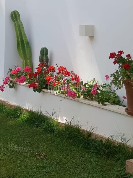 Foto d27c0e26-3db4-4edb-96d4-f7c1c29c23c2. Chalet avec chauffage piscine dans Espartinas pueblo Espartinas