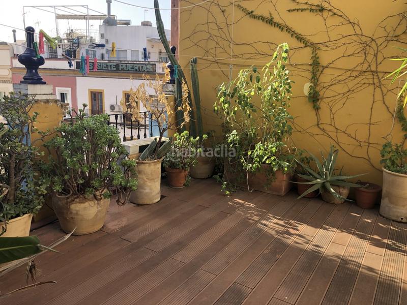 Foto 2b1d83ce-878d-4d95-96a5-f4a4b6a2c529. Casa amb calefacció a Feria Sevilla