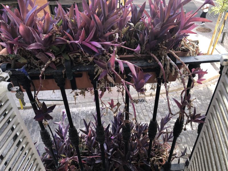 Foto 4c277592-d09f-44e2-bc78-af8f9357f0bb. Casa amb calefacció a Feria Sevilla