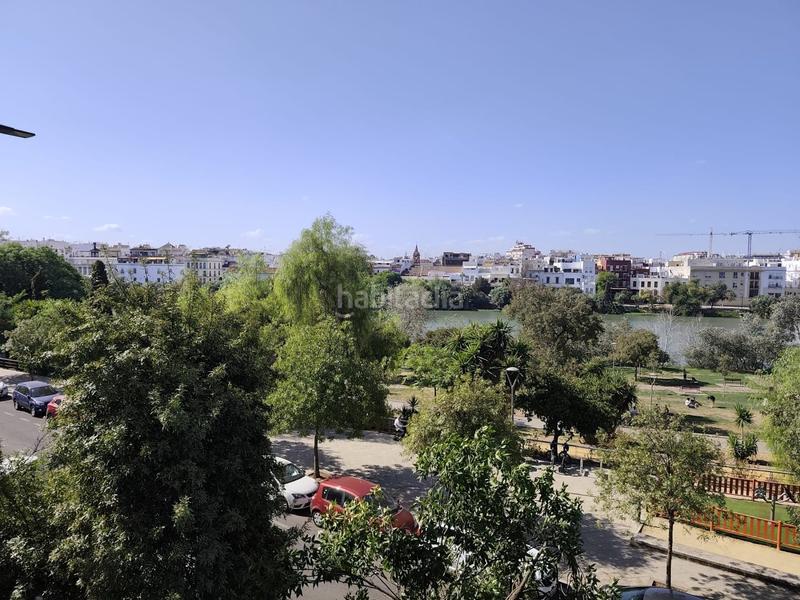 Foto 34ac11aa-6f51-4ef5-9668-4519296637ad. Pis amb calefacció a Arenal - Museo Sevilla