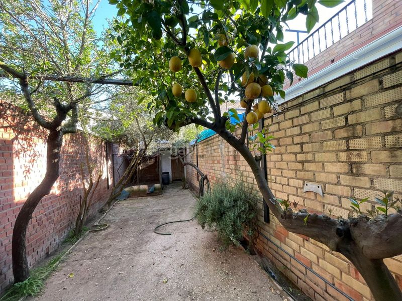 Foto 1d4e6465-54b4-4582-accb-3449f0198e5c. Casa adossada amb aparcament a Pilas