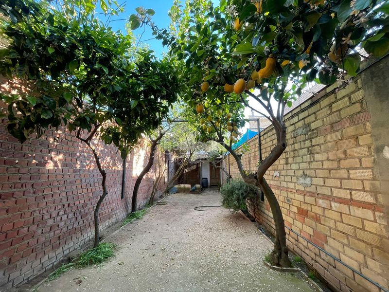 Foto fbf761f8-f87c-4d15-9d73-38b03bf8193f. Casa adossada amb aparcament a Pilas