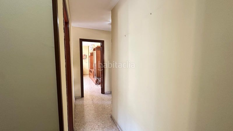 Foto 9c67b8fc-ab46-4ac8-8d8d-2fd4e8a7021c. Pis a Pino Montano - Consolación Sevilla