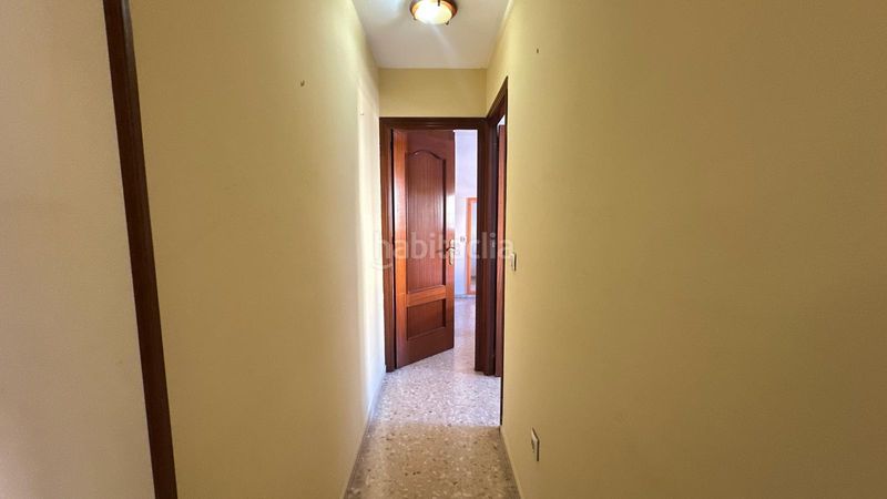 Foto b4f49fba-4d47-4751-9f3a-dd796709bfd8. Pis a Pino Montano - Consolación Sevilla