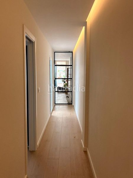 Foto a15740fd-dd53-4d67-9b44-0d8a77d4810a. Pis a San Vicente Sevilla