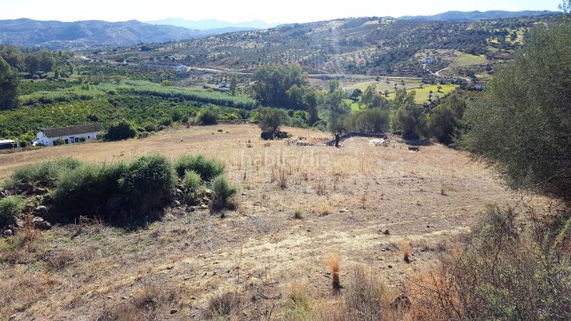 Foto 3b2c6934-9ebb-4e07-85ce-85222d396fea. Wohngrundstück in Tolox