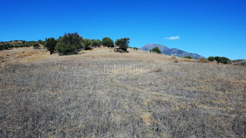 Foto 886ad3c0-0e4f-4c7d-914c-b12d20e53a87. Wohngrundstück in Tolox