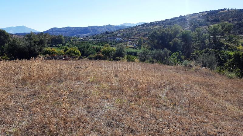 Foto 8efb5c18-1c48-4c14-9743-fb8c439081f2. Wohngrundstück in Tolox