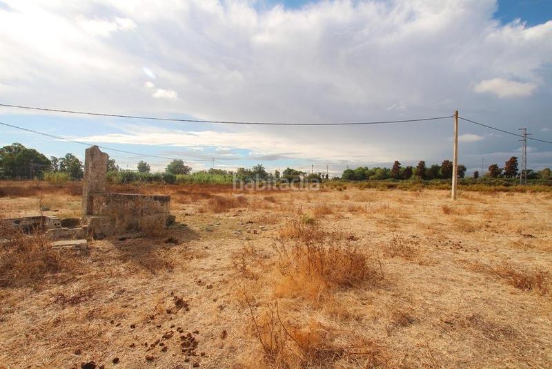 Foto bc0647dd-7267-4f5c-8b42-8f00774c311c. Landgut in Pozoalbero Jerez de la Frontera