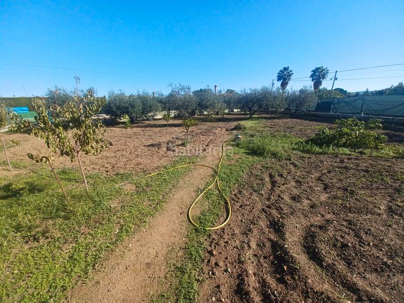 Foto 9d8c5cd7-f1be-4bc5-8ceb-1250ab09b623. Casale con parcheggio piscina in Sanlúcar la Mayor